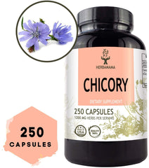 Chicory Root Dietary Supplement - 250 Capsules