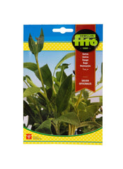 Fito Seed Salvia 2g