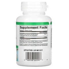 Pycnogenol - 60 Capsules