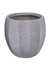 Iowa Bullet Plant Potgeneric Medium