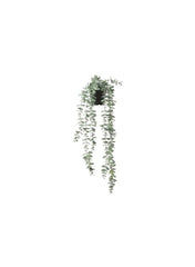 Artificial Potted Plant In Outdoor Hanging Eucalyptus