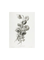 Wall Art Picture A Bouquet 50x70cm
