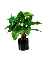 Anthurium Artificial Plant 45cm