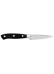 Stainless Steel Paring Knife