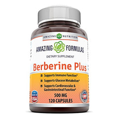 Berberine Dietary Supplement 500 Mg - 250 Capsules
