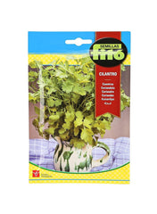 Fito Coriander Seeds 20g