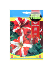 Fito Petunia Dwarf Compact 600mg Red