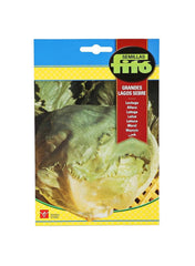 Fito Lettucegreat Lakes Sebre 6g