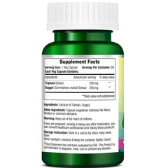 Triphala Guggul Weight Loss Supplements, 60 Capsules