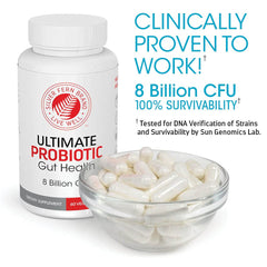 Ultimate Probiotic Supplement - 60 Capsules