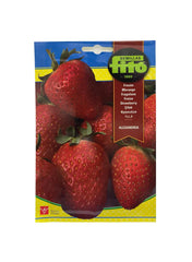 Fito Alexandria Strawberry Seeds 110mg