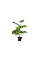Artificial Potted Plant In Outdoor Monstera