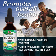 Dandelion Root Herbal Supplement 2000mg 30 ml