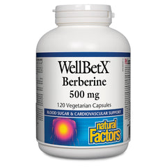 WellBetX Berberine Dietary Supplement - 120 Capsules