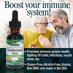 Pack Of 2 Goldenseal Root Herbal Supplement 500mg 30 ml