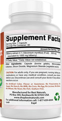 Bilberry Extract - 90 Capsules