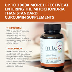 Plus Curcumin Dietery Supplement - 60 Veggie Capsules