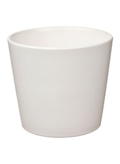 Plant Pot White