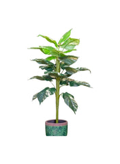 Dieffenbachia Artificial Tree 143 Cm