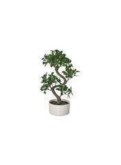 Artificial Potted Plant With Pot In Outdoor Bonsai