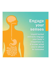 Rhodiola Root Extract Herbal Supplement 30ml