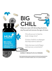 Big Chill Support Calm Dietary Supplement - 30 Vegan Capsules