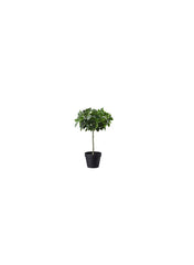 Artificial Potted Plant In Outdoor Weeping Fig Stem