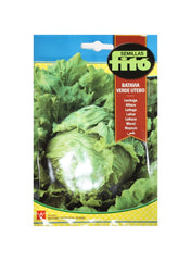 Semillas Fito Lettuce Webbs Wonderful Seeds