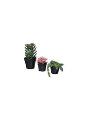 Artificial Potted Plant Set Of 3 In Outdoor Succulent