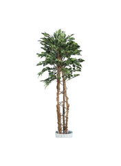 Climbing Ficus Artificial Tree 210cm
