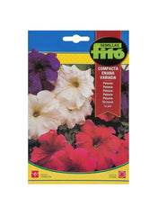 Fito Dwarf Petunia Compact Mix Flower Seeds