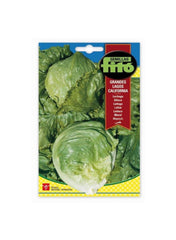 Lettucegrandes Lagos California