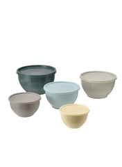 Bowl With Lid Set Of 5 Mixed Colors