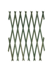 Expanding Trellis Flatimber 180 X 60 Cm