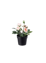 Artificial Potted Plant Indoor Outdoor Rose Pink