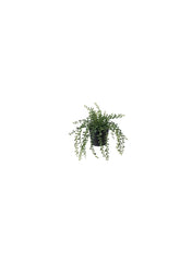 Artificial Potted Plant In Outdoor String Of Beads