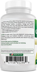 Dietary Supplement Ginkgo Biloba 120Mg - 120 Capsules